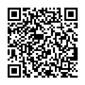 一起到门口将面包车内大包小包的行李都给搬了进来二维码生成