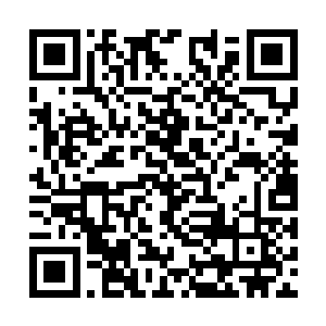 一起吃饭的人看到俩人旁若无人的堪称甜蜜的行为二维码生成