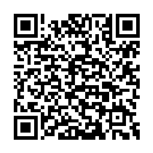 一起向着秦方这边杀了过来了……十三个小鬼子二维码生成