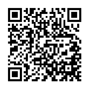 一起来到了这处名樊川的仙山――黑莲圣山已扩张成山脉二维码生成