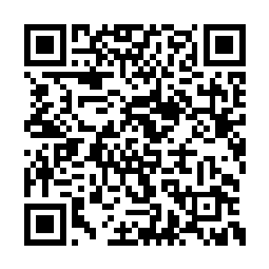 一起用让人起鸡皮疙瘩的目光看向最前方的严默二维码生成