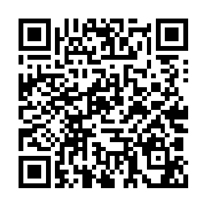 一路上凡是遇到她的人都会尊敬的称呼她少夫人二维码生成