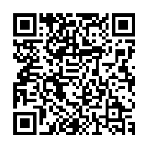 一路上刘立壬简单的询问了一下方凌从龙虎山福地逃出来的经过二维码生成