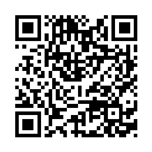 一路上叶一和叶小秋两人都是大呼小叫的二维码生成