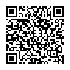 一路上基本只用眼睛不用嘴的古丽莎睁大了浅蓝色的眸子二维码生成