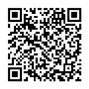 一路上小心翼翼的飞到了城外的这片荒芜的山丘之地二维码生成