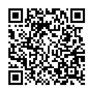 一路上巨大的疼痛让他原本清秀稚嫩的脸庞痛得无比扭曲二维码生成