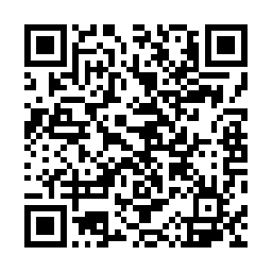 一路上没少感谢我在萧剑岚的虎口中帮她争取到掌门之位二维码生成
