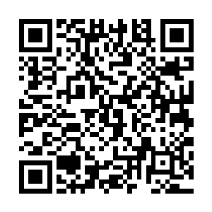 一路上的这种缝合怪全是被夏伯阳用等离子暴风蒸发的下场二维码生成