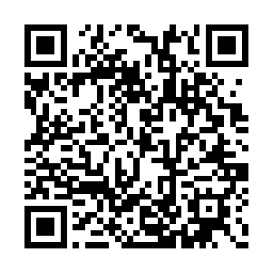 一路上这两人不断的问着路两边的树上累累果实二维码生成