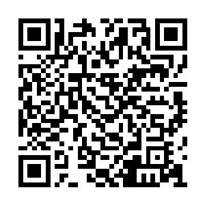 一路上陈小练和罗迪表面上在汽车里都没有说话二维码生成