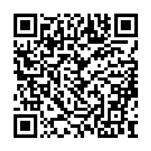 一路相随的宁宗和仗义出手的段淳安都没有忘记二维码生成