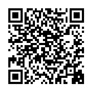 一路舟车劳顿抵达首尔乐天酒店都8点多了早晨的阳光照得明媚二维码生成