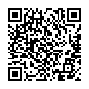 一路走到如今连仙门都未必对付得了的庞然天一道二维码生成