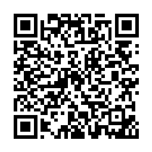 一路走到罗马的人绝对不会是想象当中的那么多二维码生成