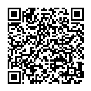 一路走来带着露珠的玫瑰香气馥郁的百合优雅的鹤望兰娇艳淳朴的非洲菊二维码生成