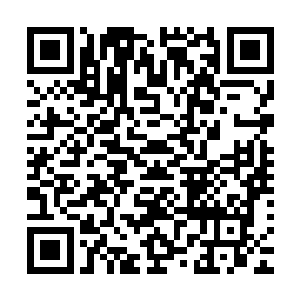 一路都有不能化形的低阶猴妖在丛林深处远远地偷看岳恒他们二维码生成