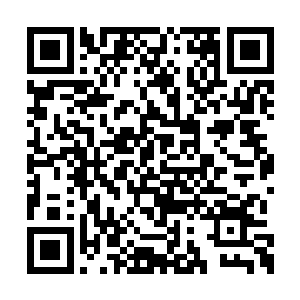 一路飙车的娜古云儿让坐在一旁的宁绯心惊肉跳二维码生成