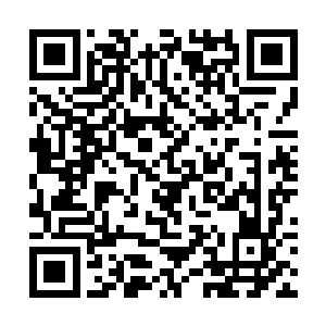 一身大红色舞衣的唐敏由几名白衣舞女围着走了进来二维码生成