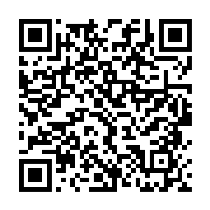 一身淡蓝色撒花长裙的沈婉晴在雪月的搀扶下走了出来二维码生成