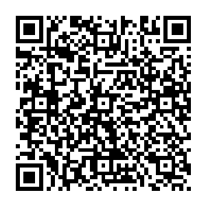 一身白色西装看起来粗狂勇猛的白破局和一身黑色西装英俊绝论风度翩翩的秦纵横一同走来二维码生成