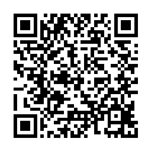 一身白衣的剑尘刚刚将一直六阶魔兽毒魔蝎斩杀二维码生成