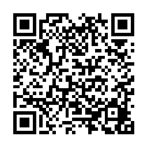 一身白衣的剑尘提着斩龙剑也从乱石堆中飞了出来二维码生成