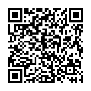一身白衣的白冰儿身型爆退的同时在一块巨岩上借力一按二维码生成