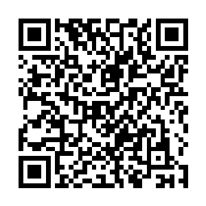 一身的战斗力比之一般的天尊顶峰高手都要强横上不少二维码生成