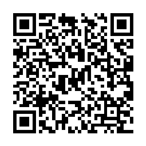 一身的本事还没怎么施展就被杨晨给灭的渣都不剩二维码生成