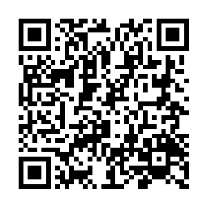 一身硝烟味极浓烈的张龙一看欧阳志远带人赶到二维码生成