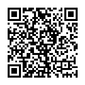 一身穿白衣服饰的弟子无奈的对着身边面容绝美的女子道二维码生成