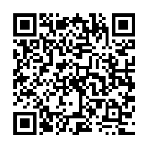 一身素服的太子妃萧夫人率领着长缨太子的一干妃嫔和后人二维码生成