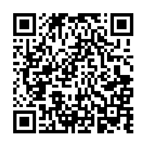 一身紫装橙装也是迟早的事情……更何况是职业玩家呢二维码生成