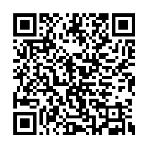 一身豹纹紧身衣将凹凸有致的身材衬得无比动人二维码生成