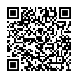 一身酒气的在四个漂亮的侍女搀扶下回到了严府二维码生成