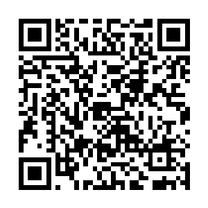 一身青色长衫将少女那凹凸有致的身材彰显的淋漓尽致二维码生成