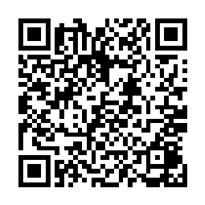 一身青衣绣云服的方运在一众平均年龄超过四十的官员之中二维码生成