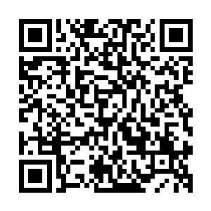 一转头就对上一张晒的黝黑但是依旧掩盖不住秀丽的五官的脸二维码生成