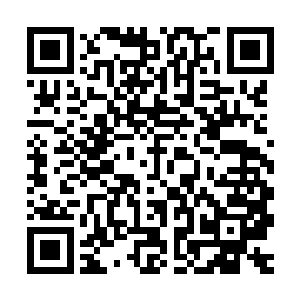一转脸就看到新井利则的脸色很不好形容既不是兴奋也不是苦恼二维码生成