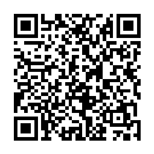 一辆十分张扬的摩托车就停在爱丽丝旅馆旁边的小巷道里二维码生成