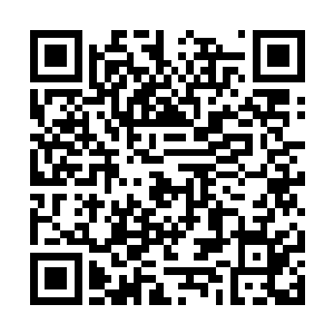 一辆奔驰s320婚车领着一队车缓缓驶入宿舍院子里二维码生成