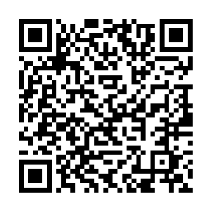 一辆白色的轿车悄无声息地依靠在凌公馆的围墙侧面二维码生成