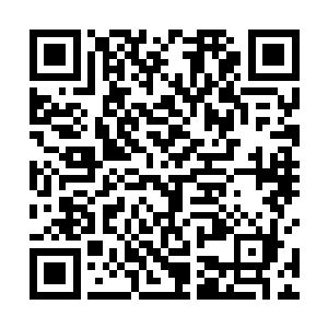 一辆耀武扬威的小皮卡竟然逼得这些佣兵们抬不起头来二维码生成