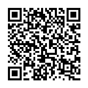 一辆辆奢华内敛的名车如过江之鲫一般排了队似的往这边涌过来二维码生成