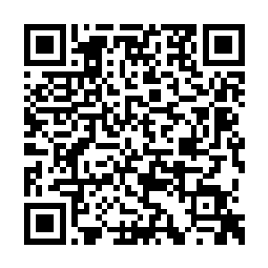 一辆飘着夏家旗帜的车队也同时从瓦克城内冲出二维码生成