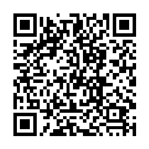 一辈子也许都没有办法达到毛先生的那个境界的他们二维码生成