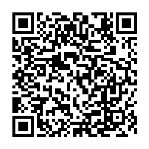 一辈子像个鼹鼠一样生活……连自己都不能做……我会失去自己的……二维码生成