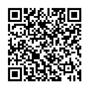 一边一直努力减弱自身存在感的丞相与大将军两张脸猛地涨红了二维码生成