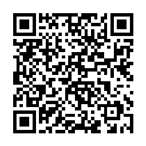 一边下令麾下的伪王主继续引诱空之域的两尊巨神灵二维码生成